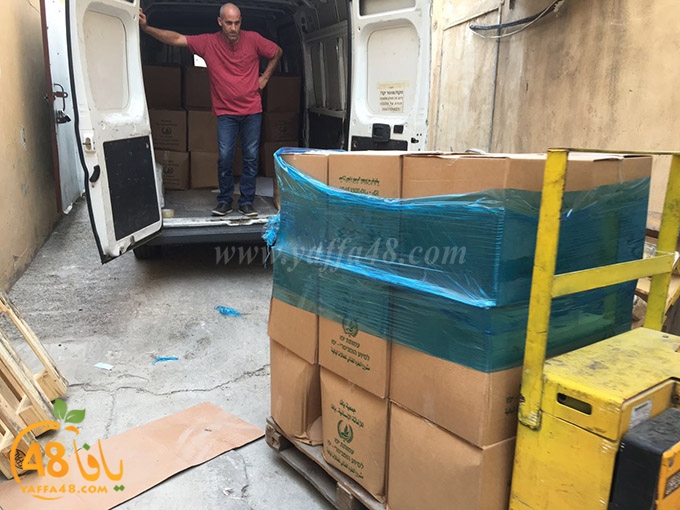 torold yaffa (12).jpg